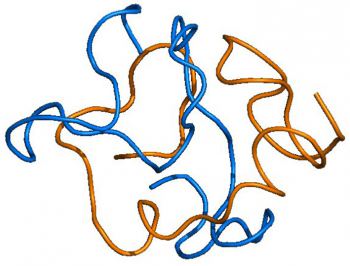 Smentito principio scientifico sull'amiloide-beta, sul quale si erano basati gli studi di farmaci di Alzheimer