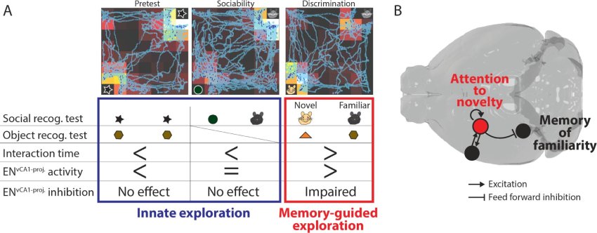 Abstract Yamavaki et al