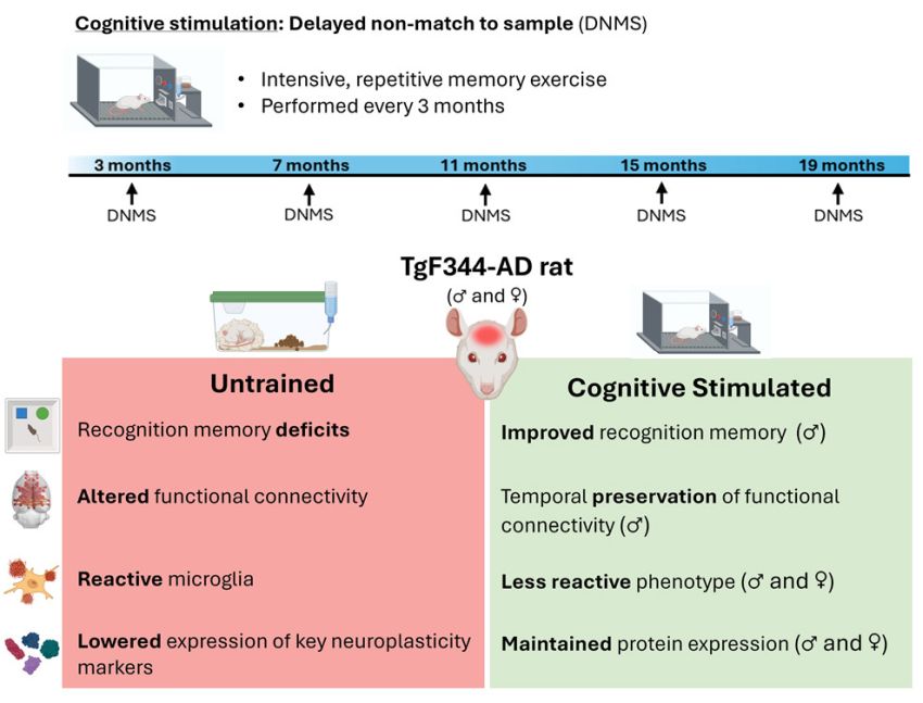 Abstract study Casanova Pagola et al iScience