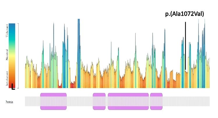 Ala1072Val change in GRIN2C