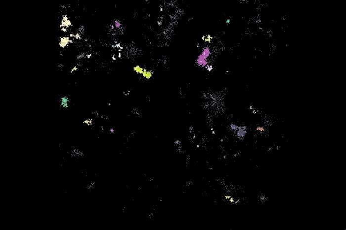 Astrocyte Calcium NE 1