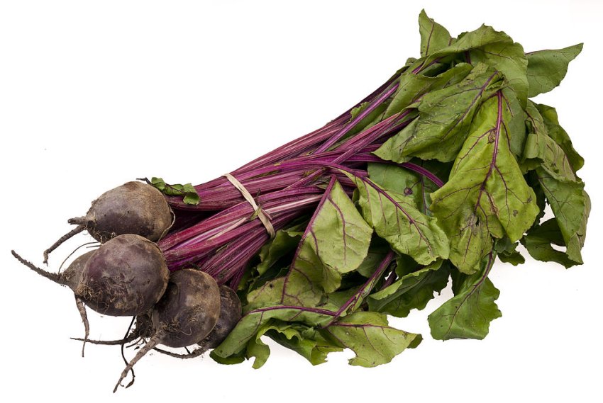 Beetroot Bundle CC0 Wikipedia