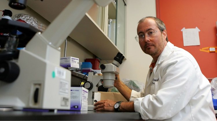 Muore a 63 anni Ben Barres, neuroscienziato che ci ha fatto capire meglio il cervello