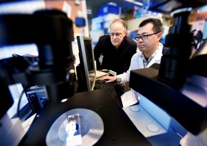 Dr. Darrell Brann and graduate student Yujiao Lu 