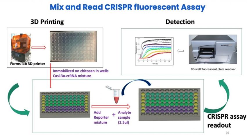 CRISPR 96 well fluorescence