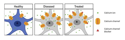 CalciumBlockers