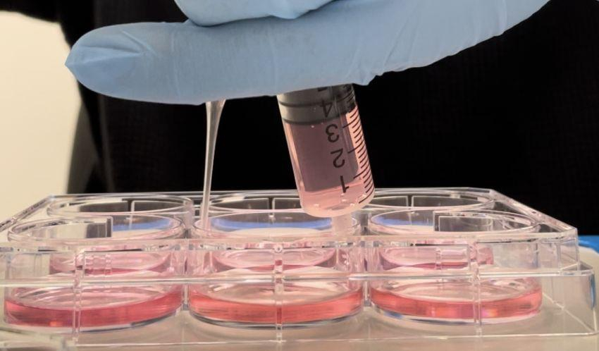 Chemical signals given to non neural cells in a plate