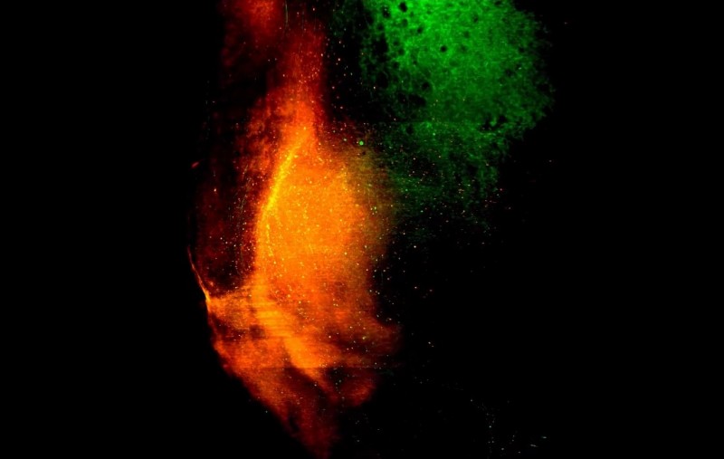 Convergence of dopaminergic transmitter inputs by Kanghoon Jung