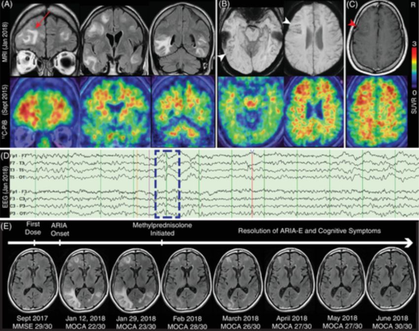 Dan Gibbs sailing boat by John Harland