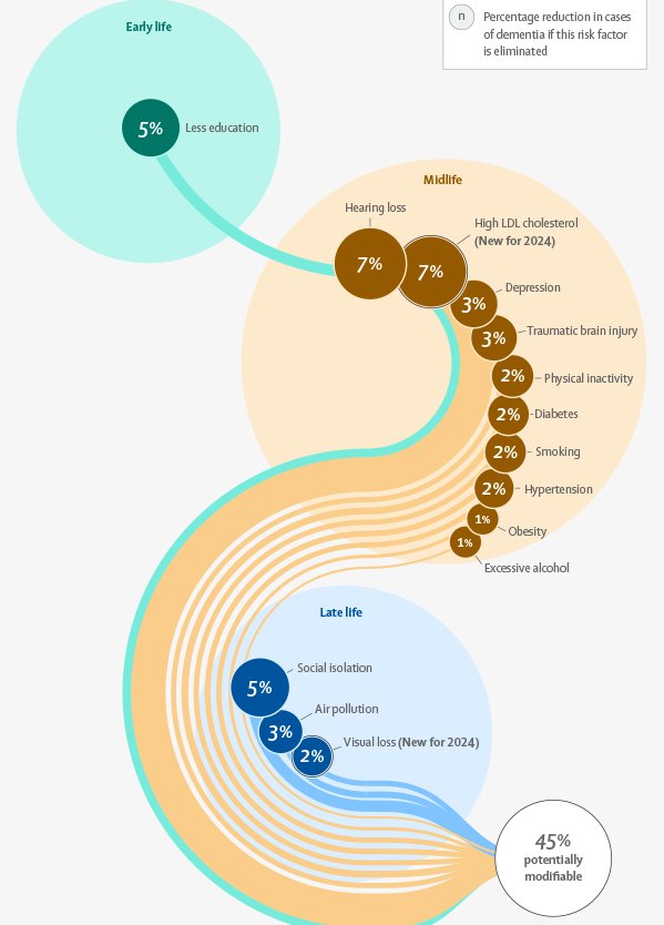 Dementia modifiable risk factors 2024