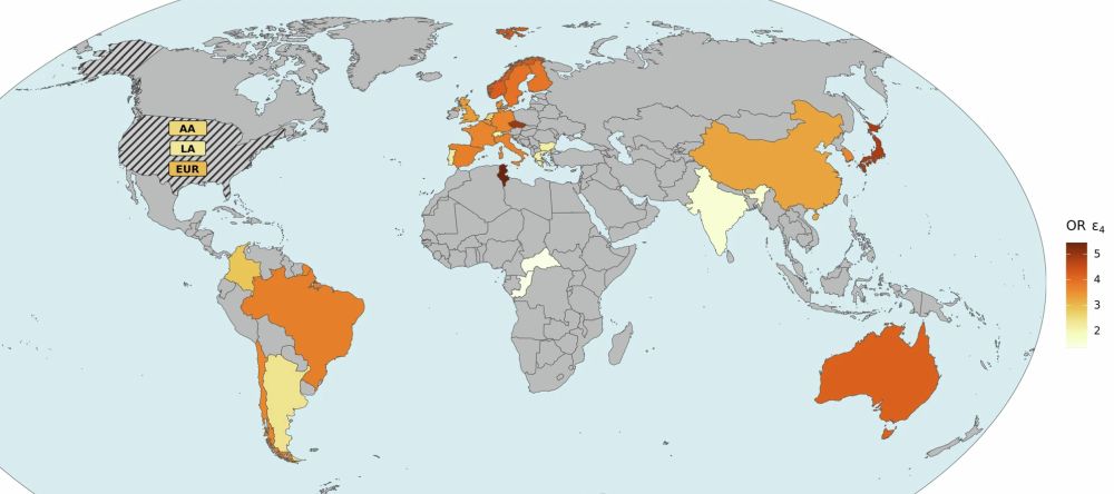 Distribution and association of APOE ε2 ε3 ε4 alleles with AD risk 