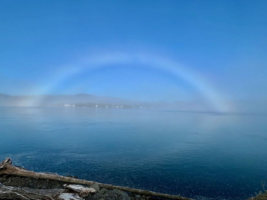 Fog bow by Dan Gibbs