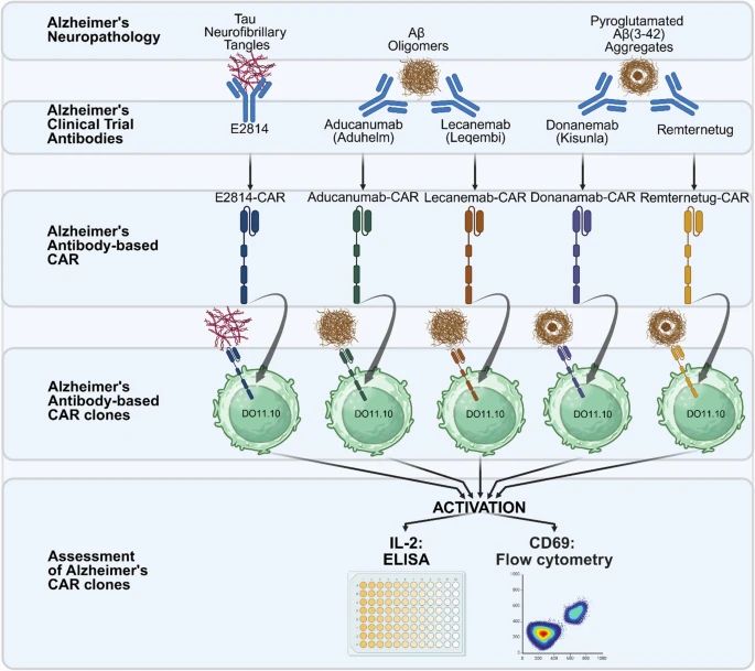 Graphical abstract Siebrand et al JTranslMed