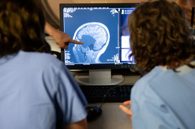 examining a scan of the brain