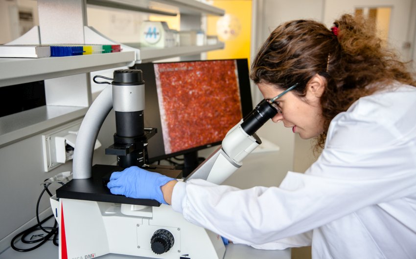 Laboratorio politecnico milano