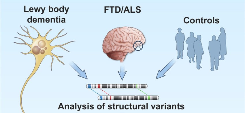 LewyBodyDementia and FTD genetic analysis