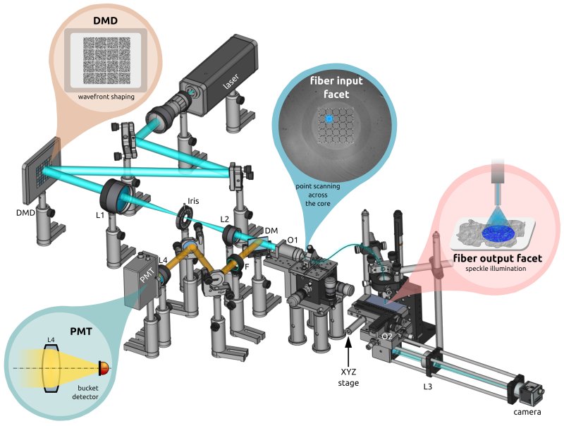 Multimode optical fiber setup