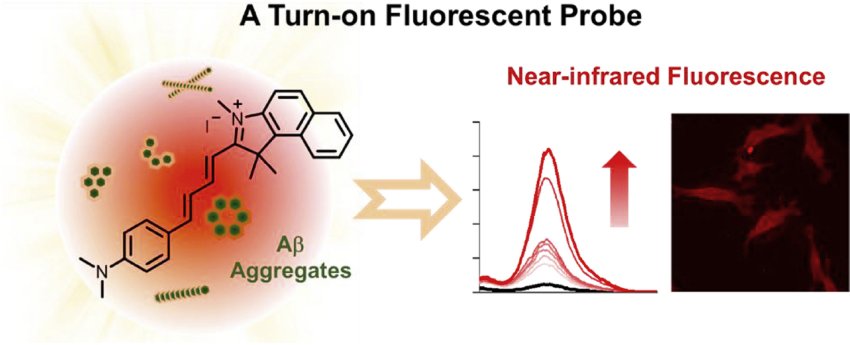 Near infrared fluorescent probe