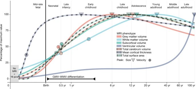 Neurodevelopmental milestones 