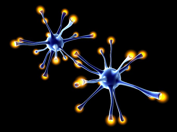 Neuron connecting1