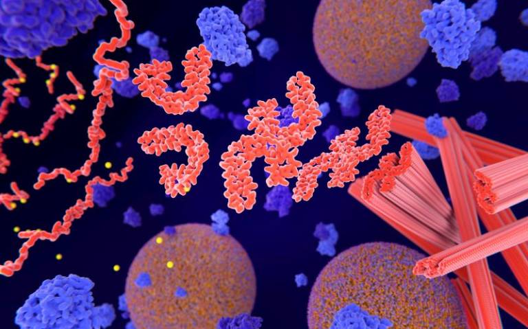 Pathological phosphorylation of Tau proteins by selvanegra on iStock