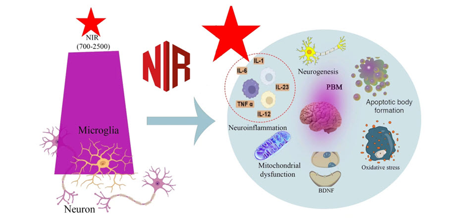 Photobiomodulation near infrared phosphor 