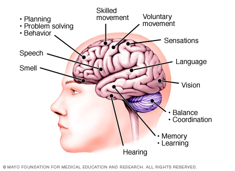 PrimaryProgressiveAphasia