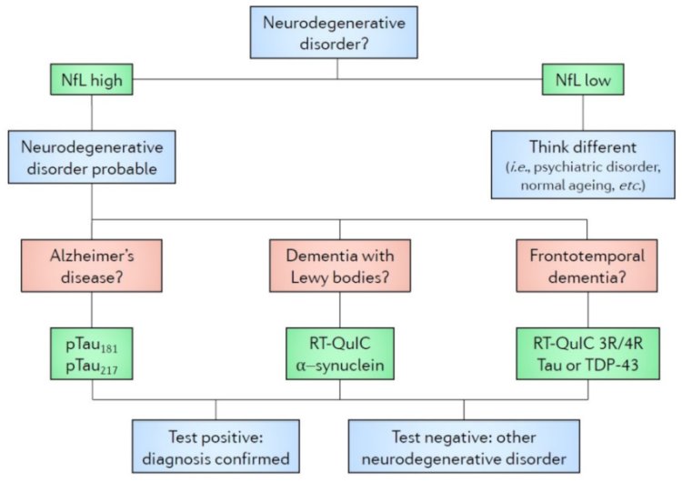 Proposed algorithm for diagnostics and prognostic assessment of neurodegenerative dementias