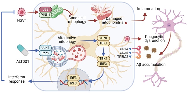 Research by Soo Jin Oh et al KoreaUni Theranostics