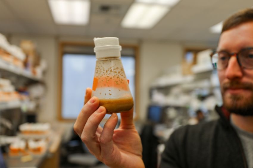 Researcher in Freeman Lab by Christine Torres Hicksat OHSU