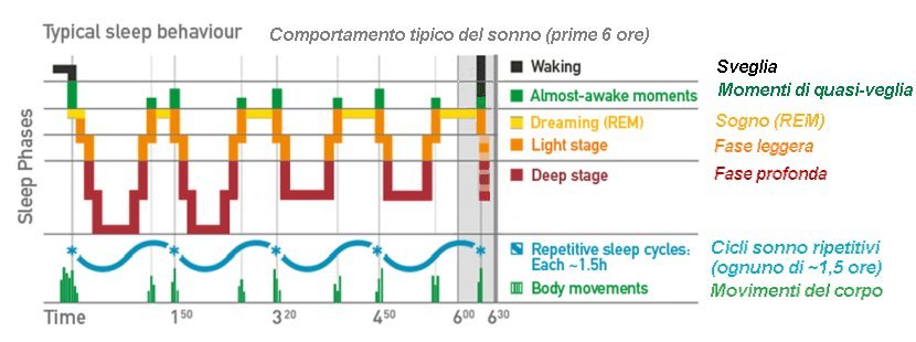 Sleep pattern