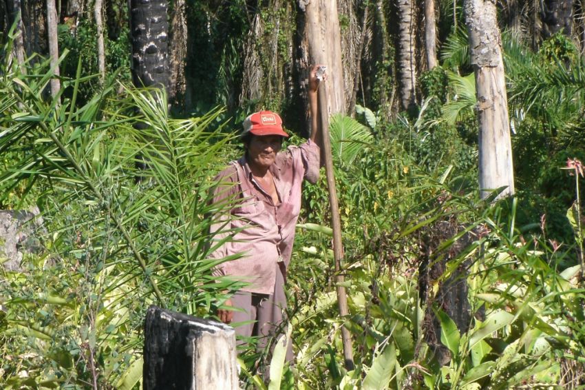 Tsimane forager farmer 