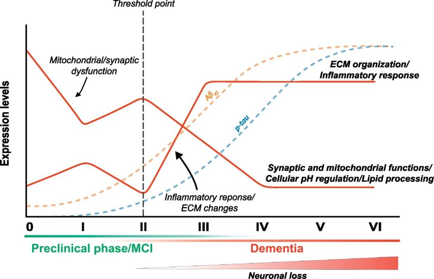 alzheimer changes timeline