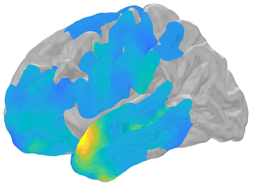 brain ripple memories recall