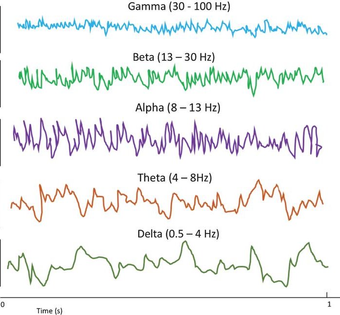 brain waves