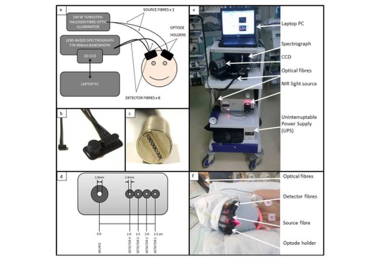 broadband near infrared spectroscopy Bale et al 2014