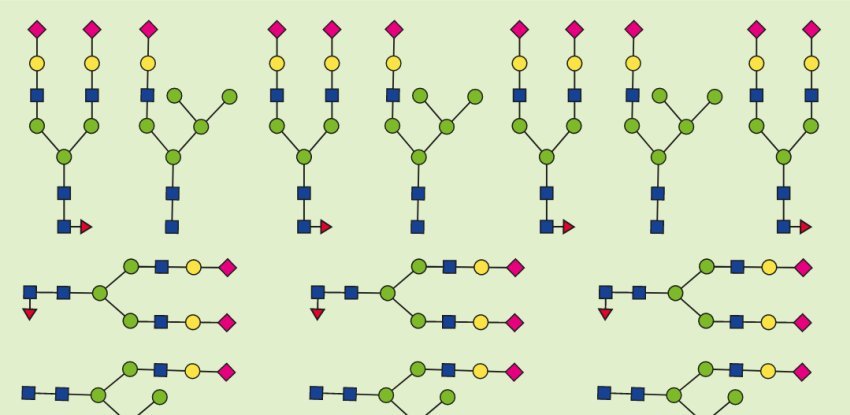 can chemist crack sugar code