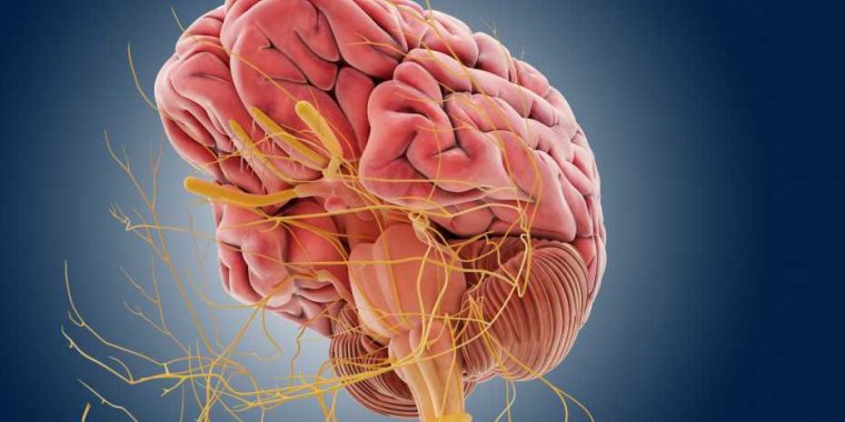 Scoperta sull'uscita del liquido cerebrospinale può aiutare la cura della demenza