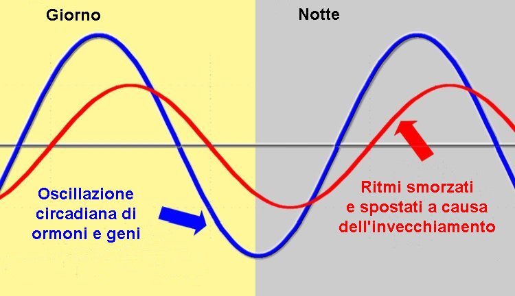 Perché lottiamo per dormire bene di notte quando invecchiamo?