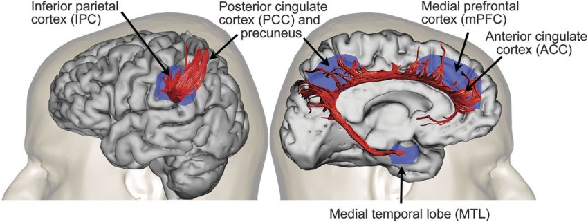 default mode network connectivity s sandrone m catani