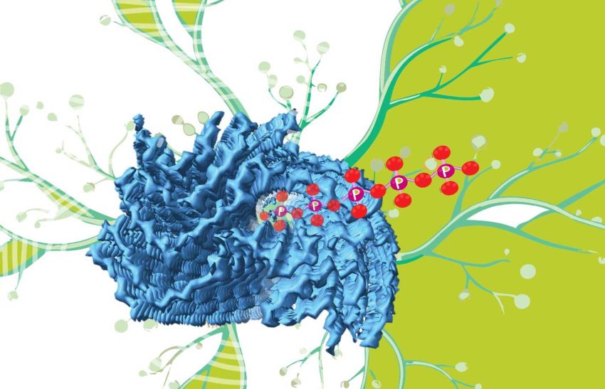 finding a missing piece for neurodegenerative disease research