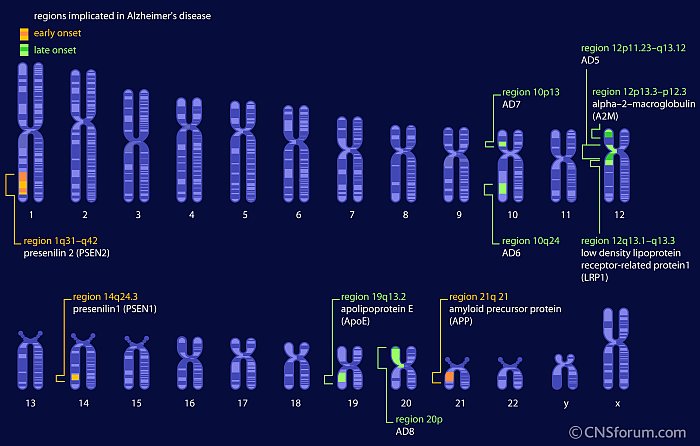 genetics AD