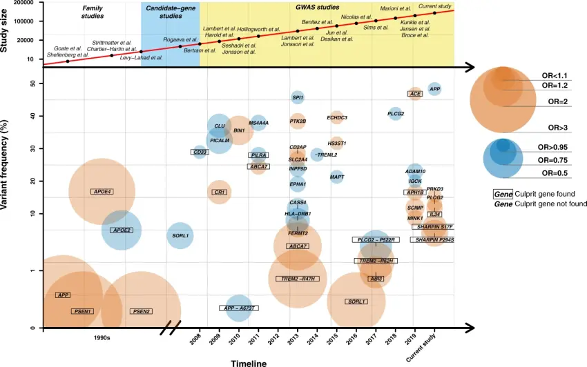 history of alzheimer genes