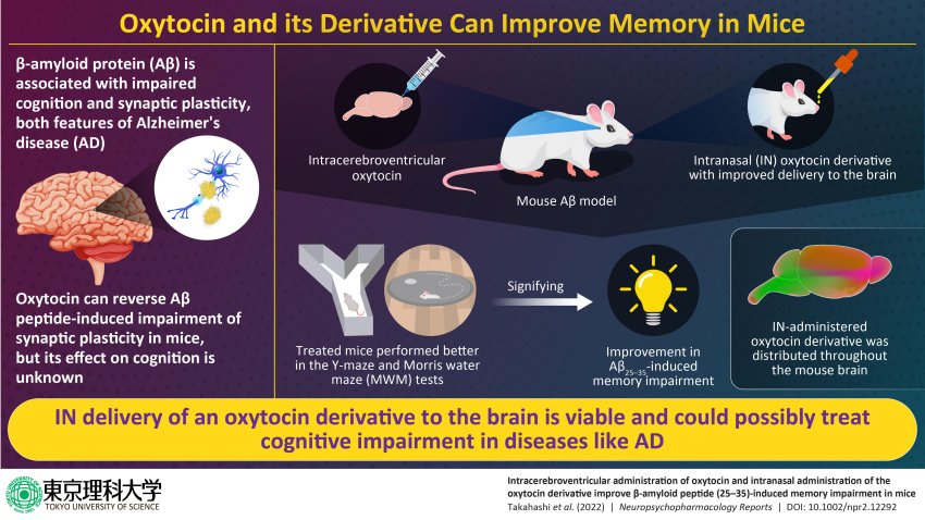 intranasally delivered oxytocin derivative