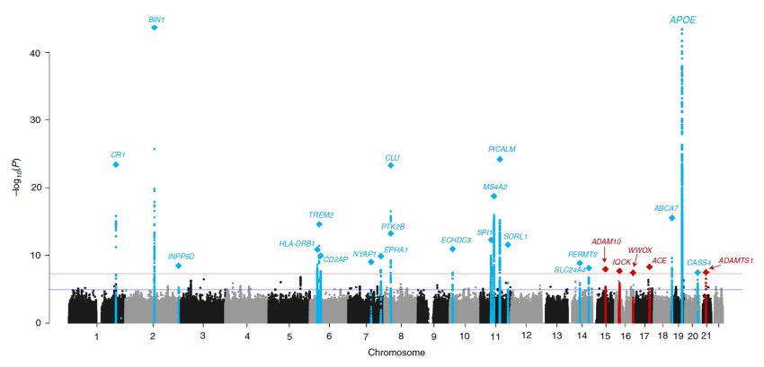 map of alzheimer genes