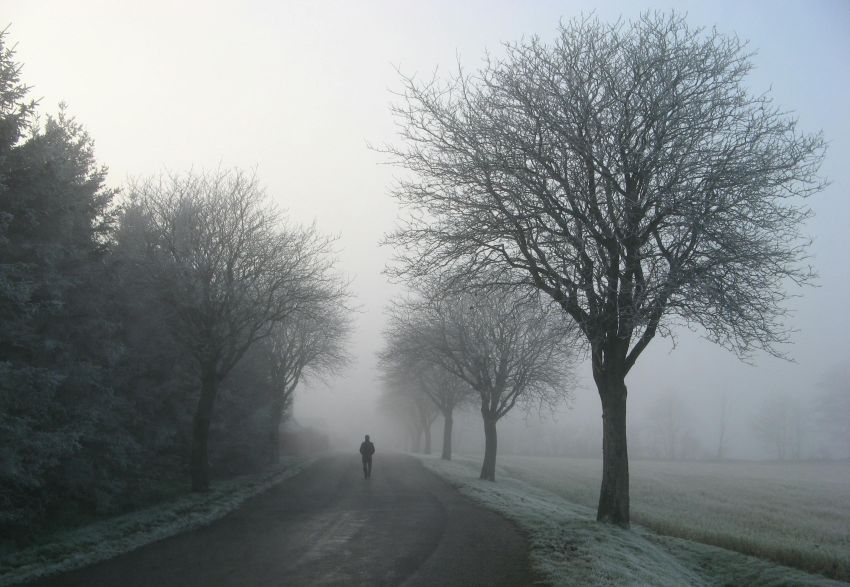 man alone towards the mist pexels reneterp 25763