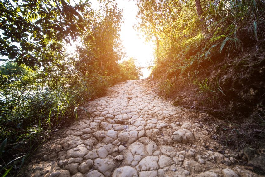 path road countryside 