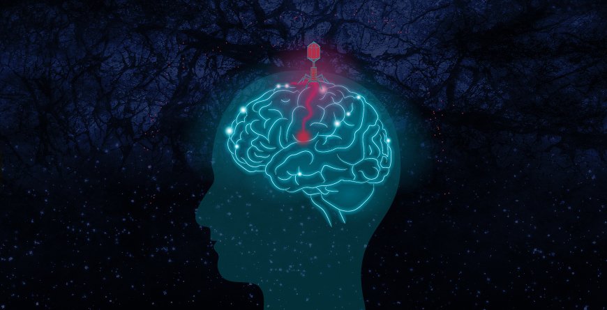 pathogens are dark matter behind alzheimer