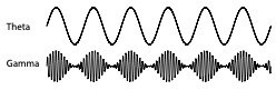 phase amplitude coupling cedars sinai