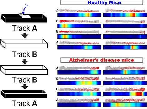 remapping place cells